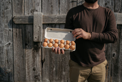 Discovering the Difference: Pasture Raised Eggs at The Butcher Shoppe