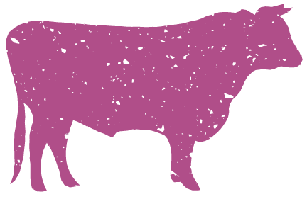 TBS_cow-dark