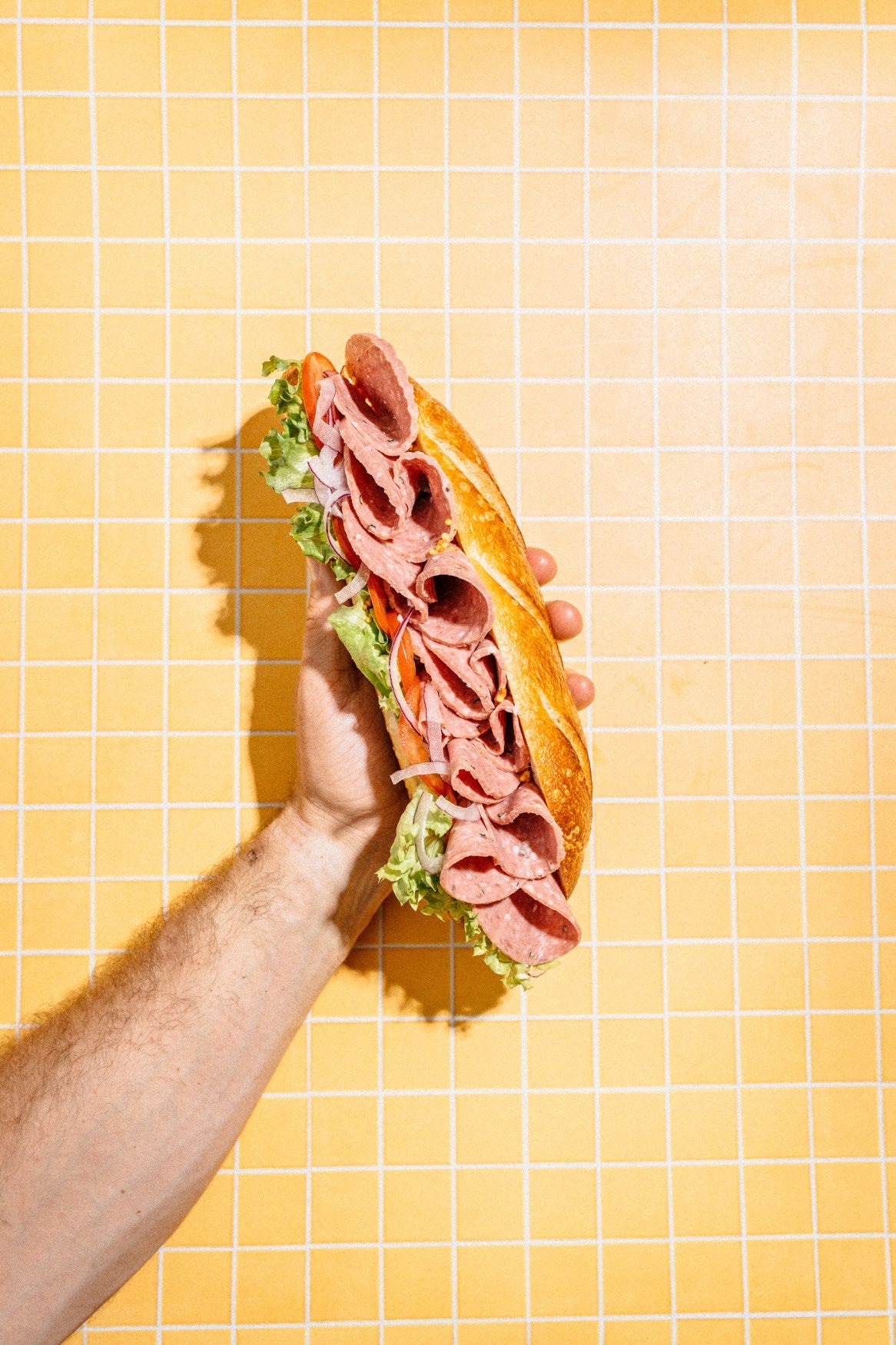 Classic Beef Salami Sandwich