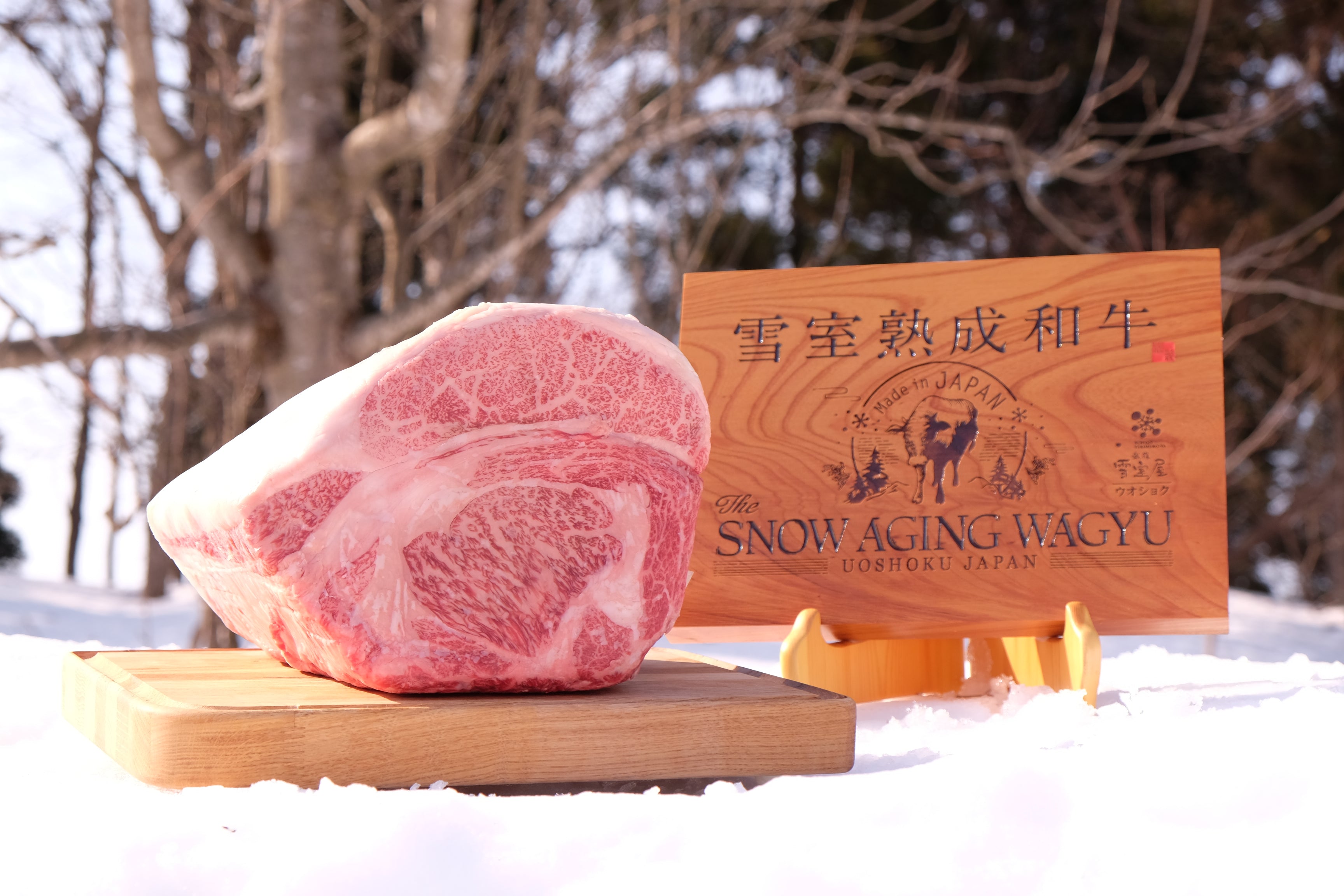 What is Snow Aged Wagyu Beef & Where to Buy It?