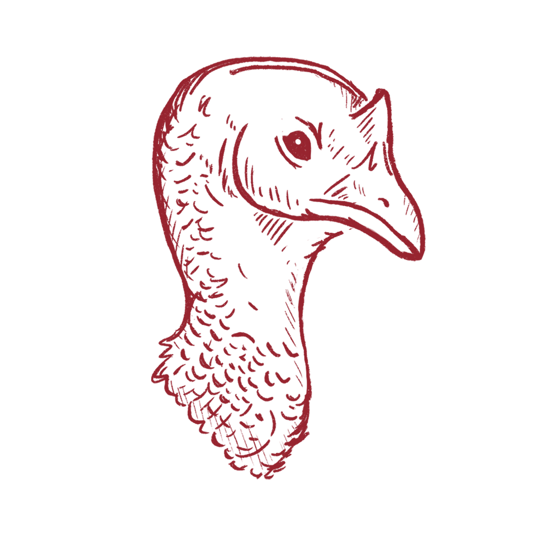 Local Turkey