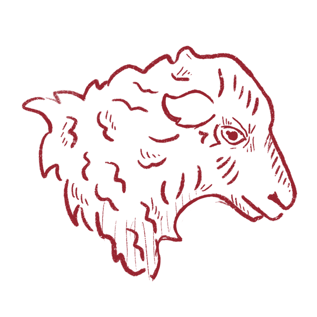 Lamb