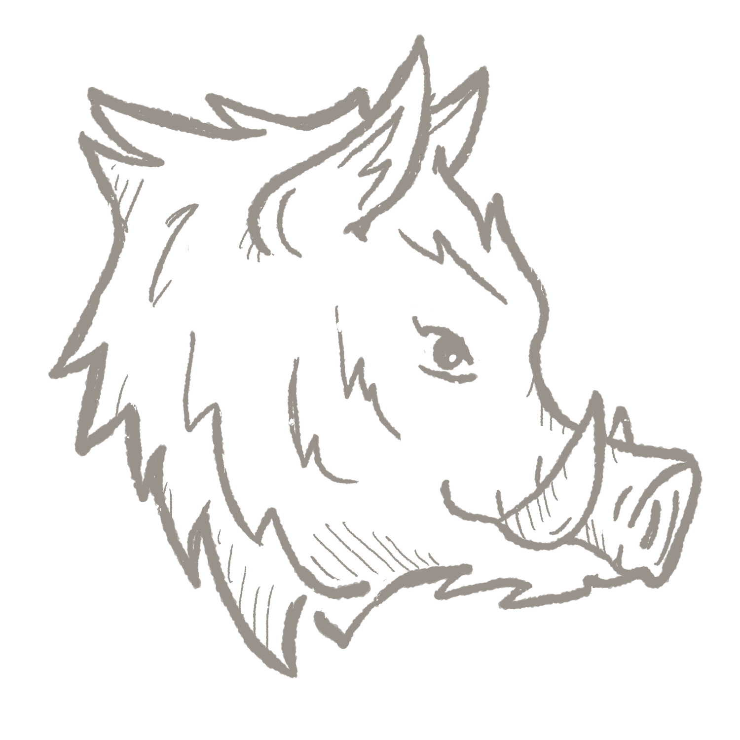 Wild Boar
