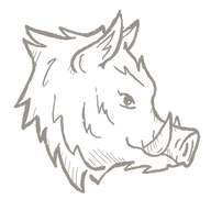 Wild Boar