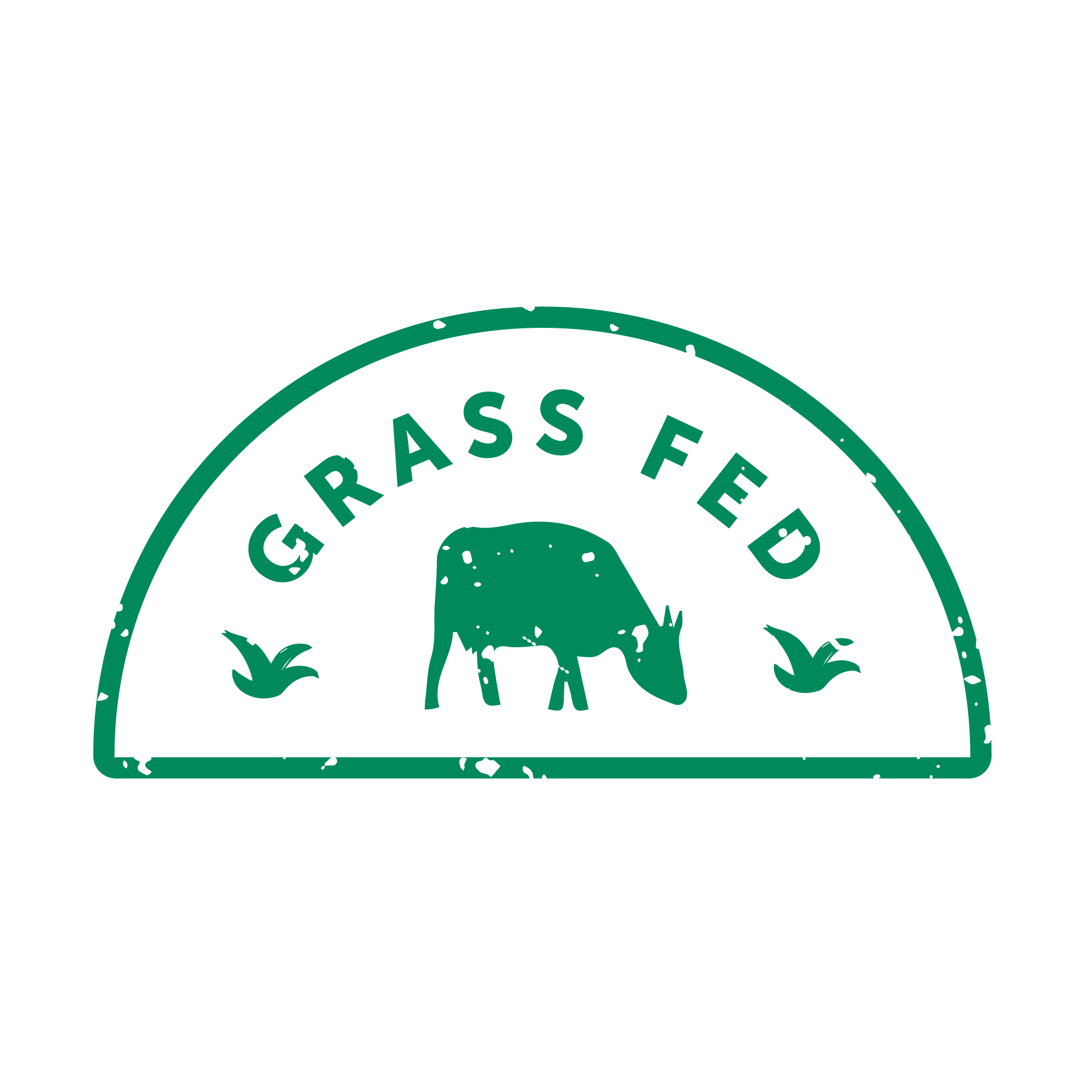 Grass Fed Beef