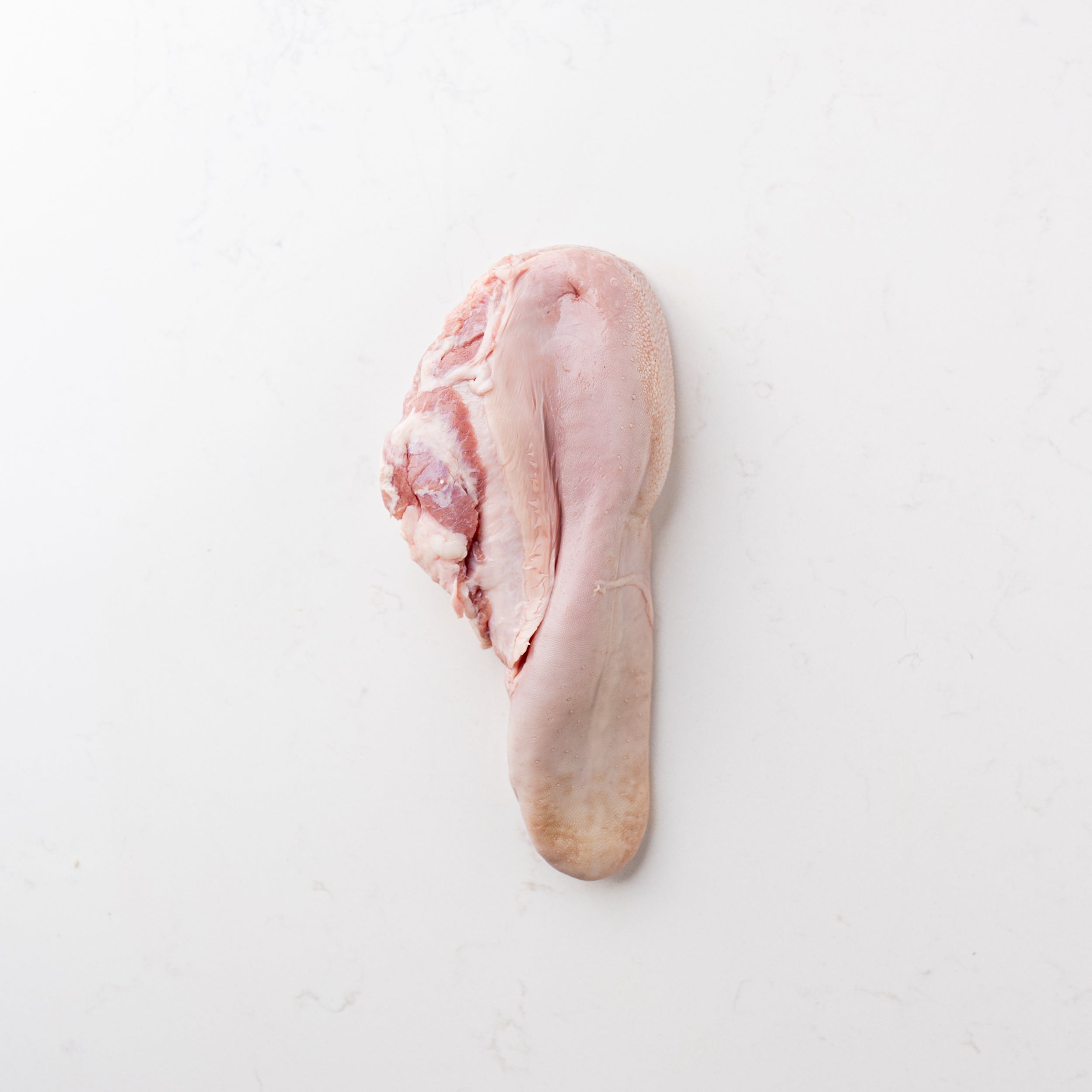 Frozen_Calf_Tongue
