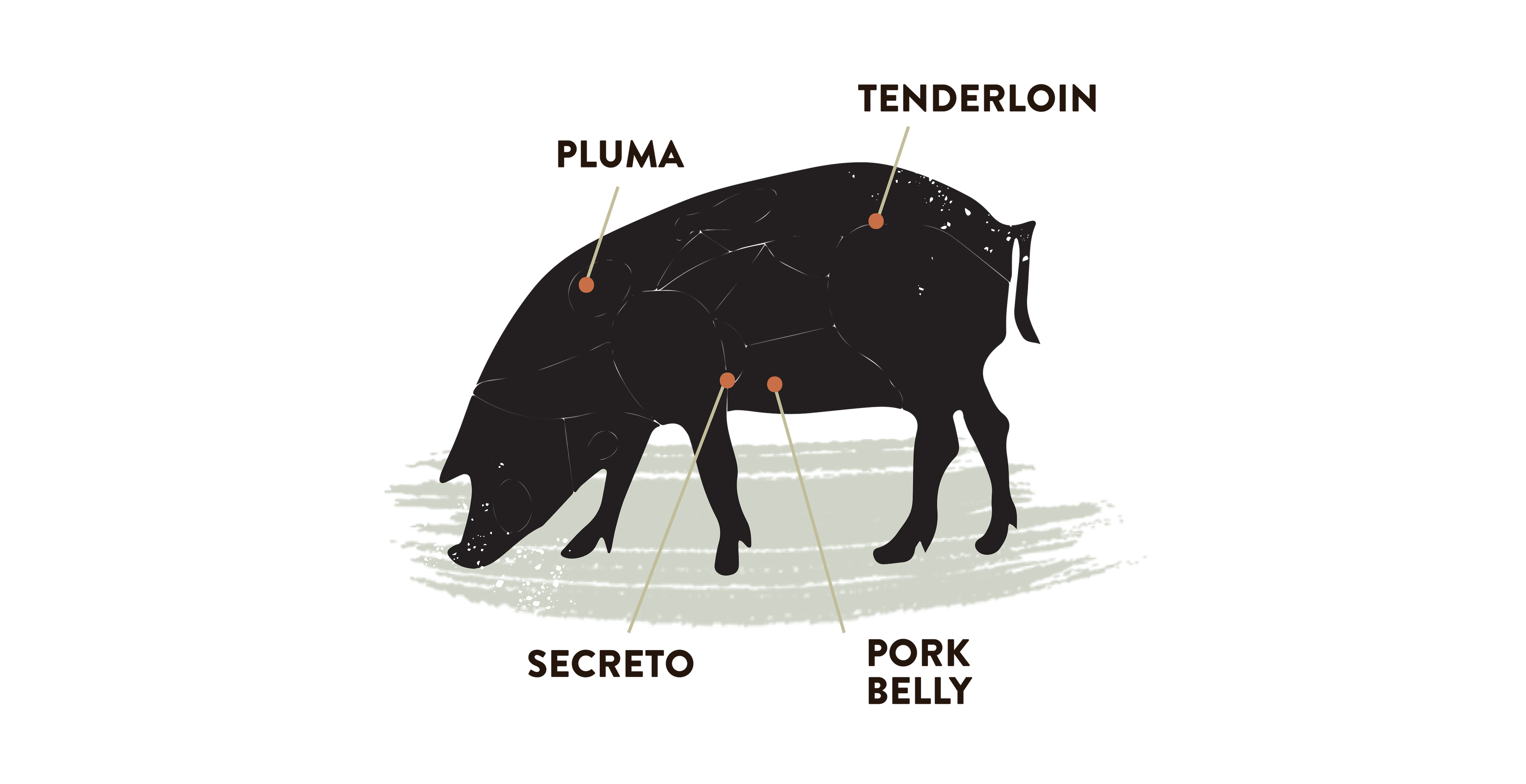 Spanish Iberico Pork - Pluma