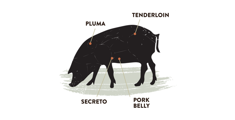 Spanish Iberico Pork - Pluma