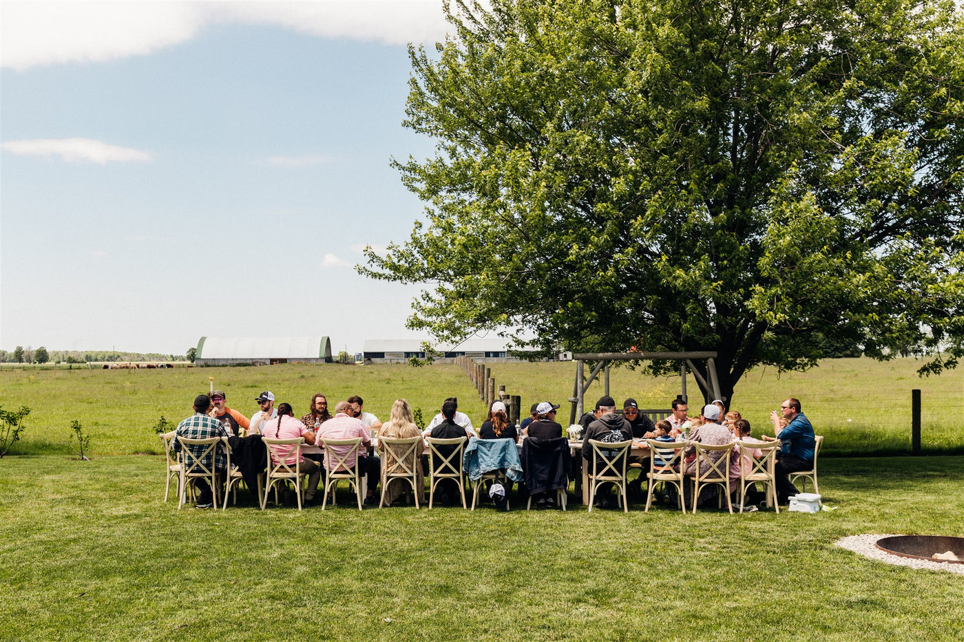 Group of people dining outdoors at a long table on a green lawn with a tree and farm buildings in the background.