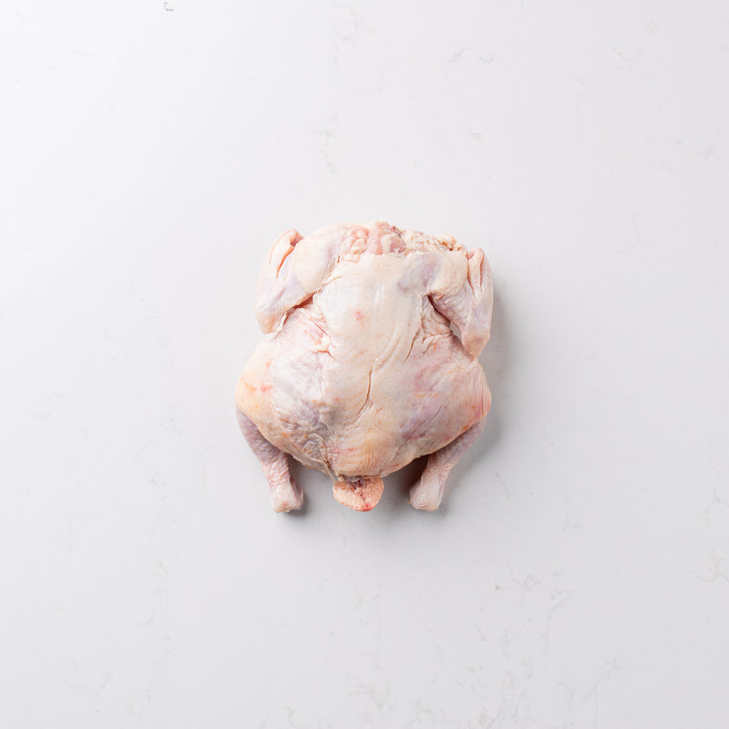 Cornish Hen (Bone-In) - butcher-shoppe-direct-meat-delivery-toronto-ontario