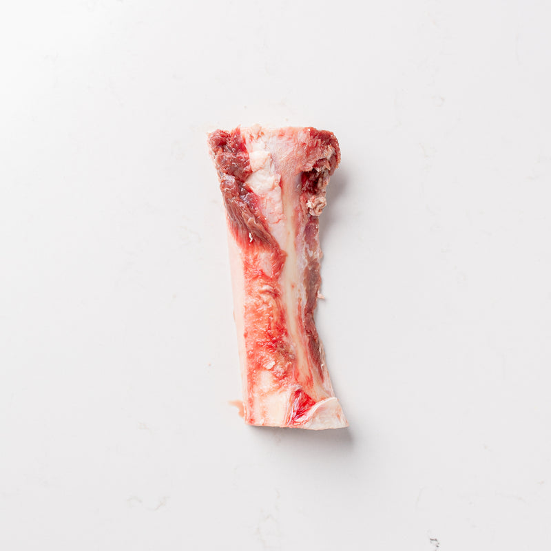 Bottom Side of a Canoe Cut Beef Bone Marrow Piece from The Butcher Shoppe