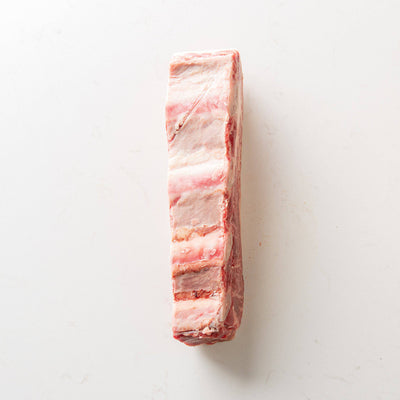 Bottom Side View of a Beef 4-Bone Short Rib from The Butcher Shoppe