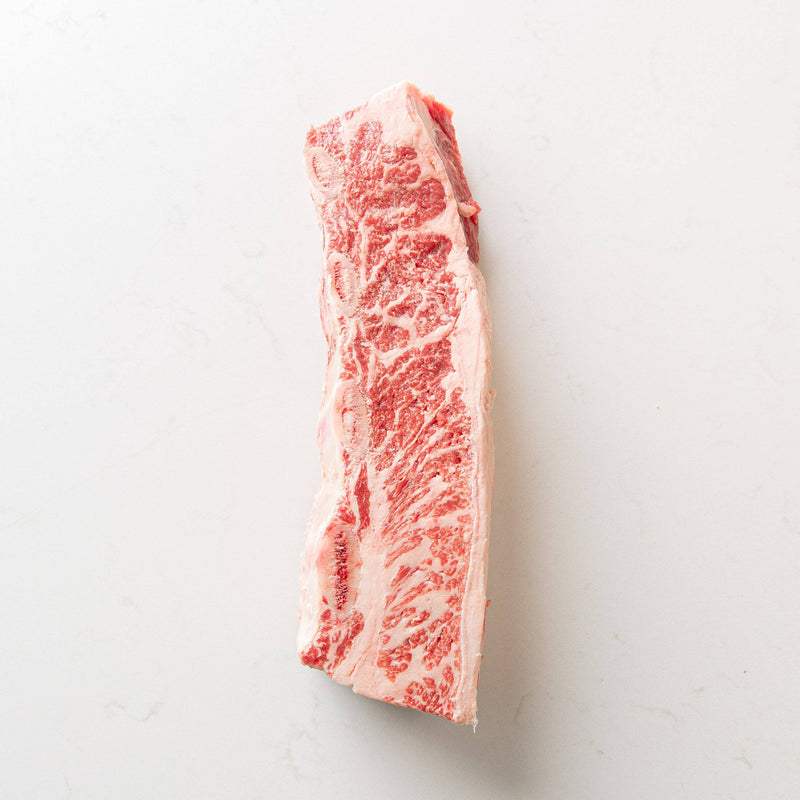 Top View of a 4-Bone Short Rib from The Butcher Shoppe