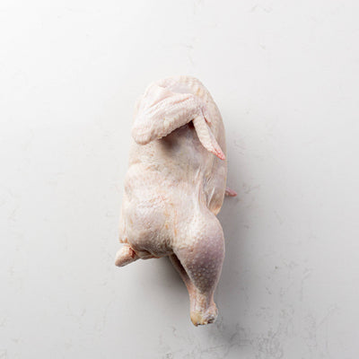 Side View of Organic Whole Chicken from The Butcher Shoppe
