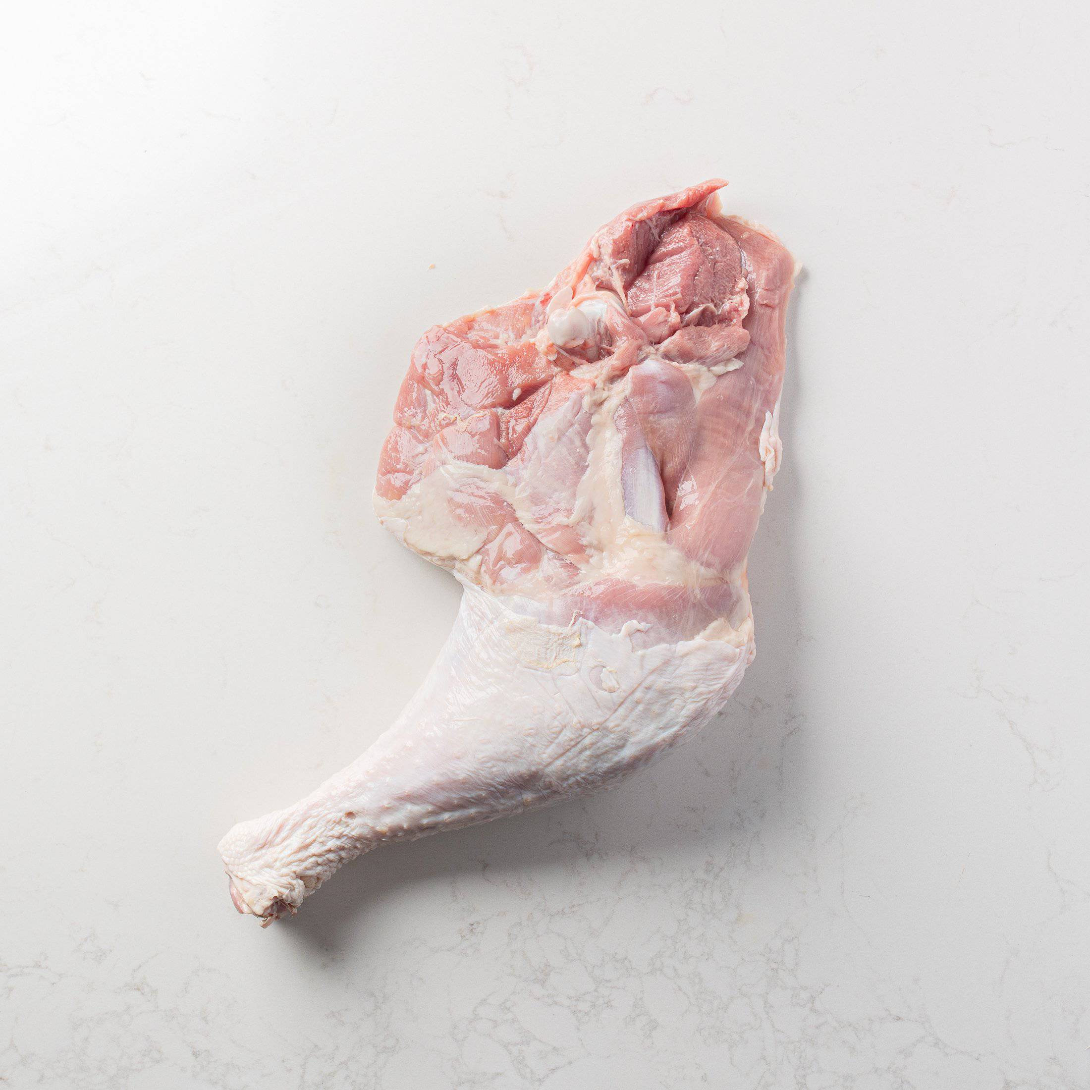 Inner Side of a Turkey Leg with Drumstick and Thigh from The Butcher Shoppe