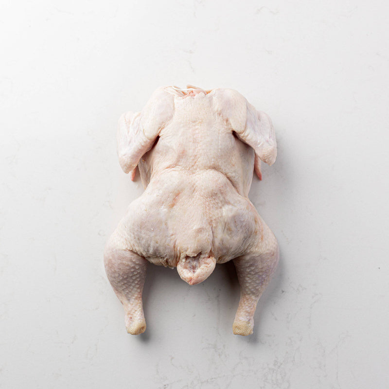 Top View of a Whole Chicken from The Butcher Shoppe