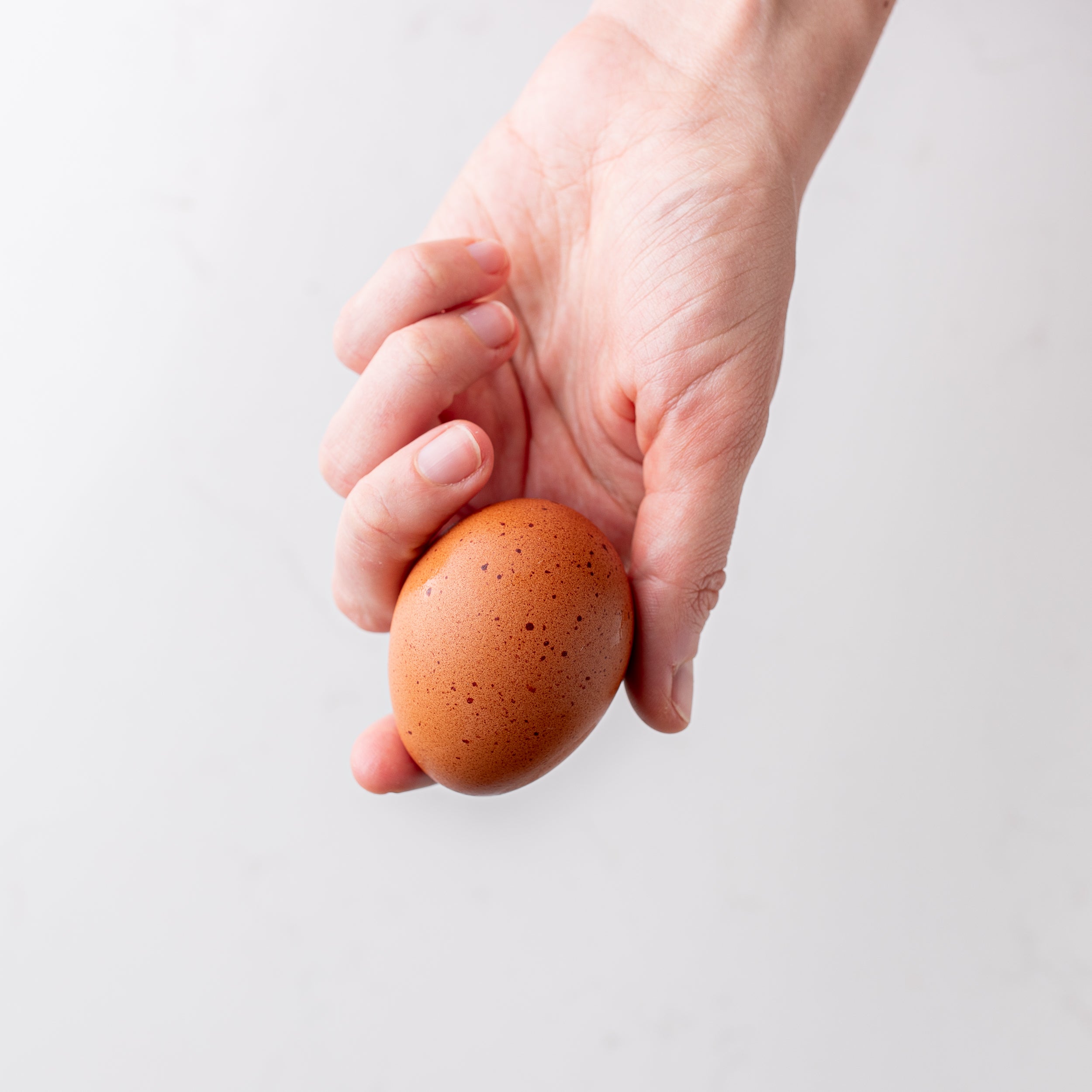 Delivery from Harley Farms Butcher Shoppe, including a supply of fresh eggs, showcasing their commitment to quality products.